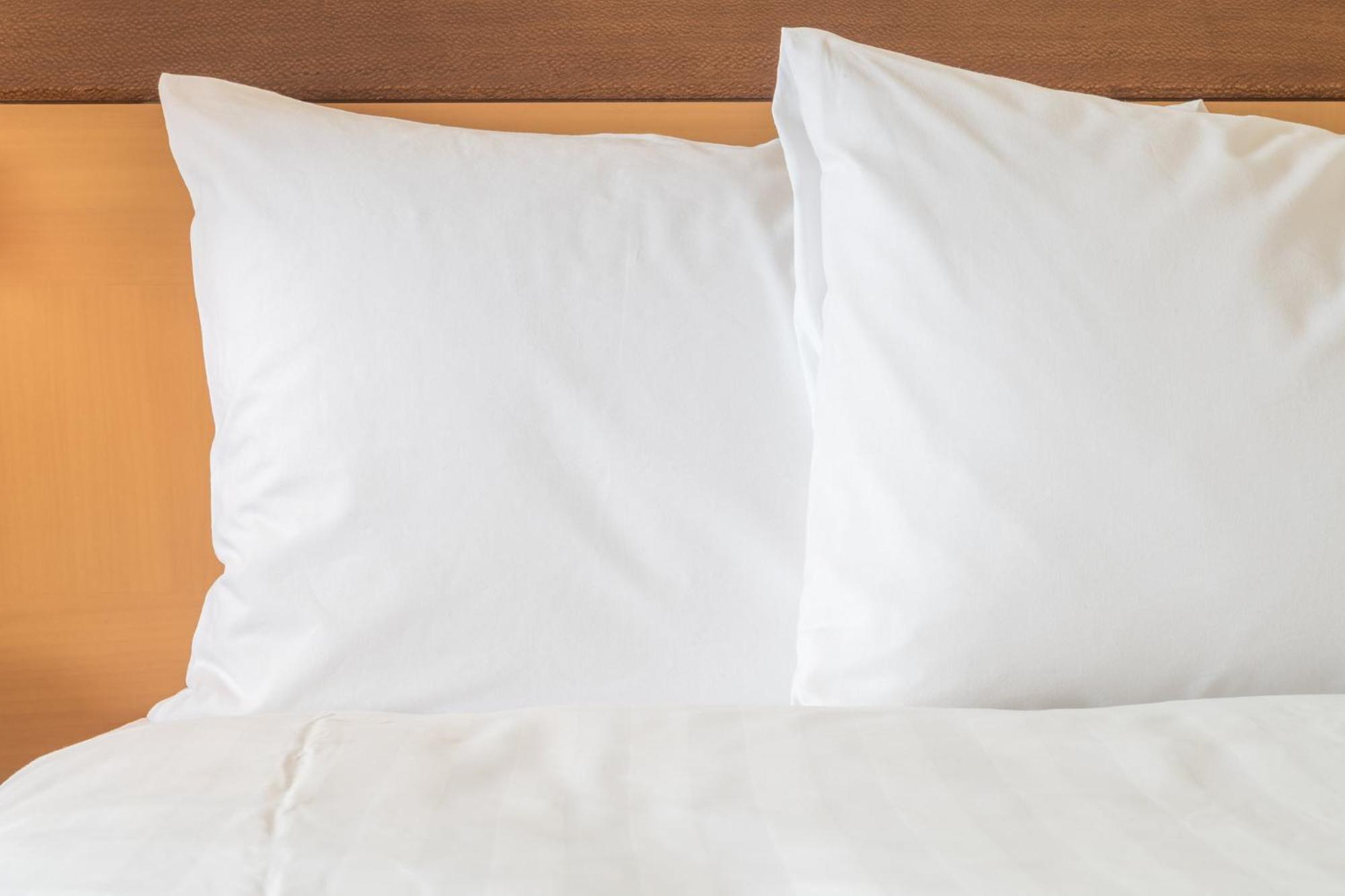 Holiday Inn Metairie New Orleans By Ihg Экстерьер фото